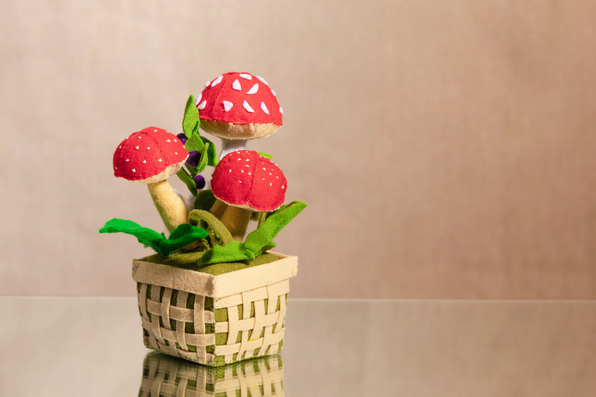    Грибная корзинка из фетра