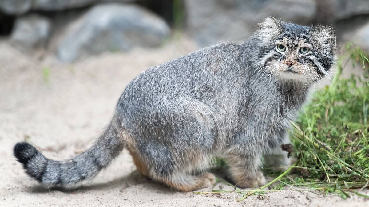    Фото: shutterstock