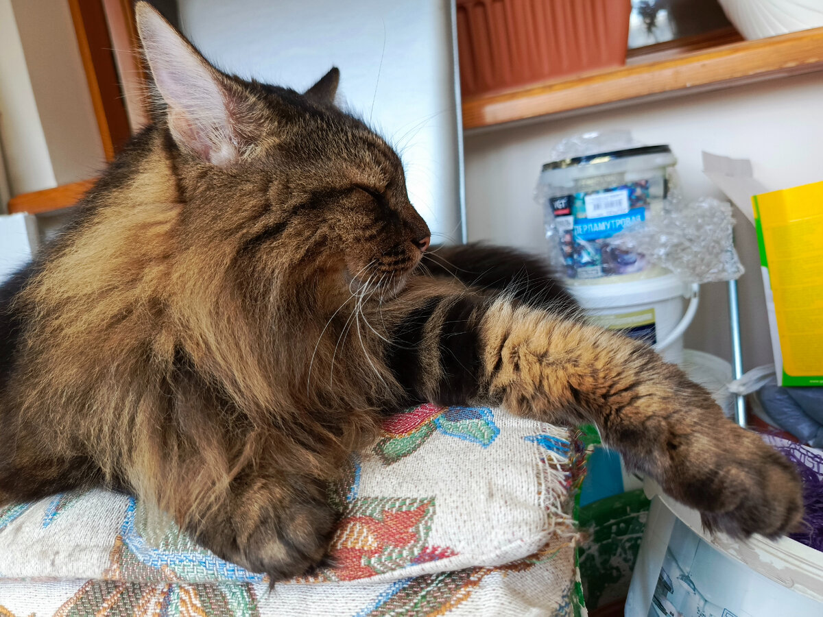 Важный Кузя