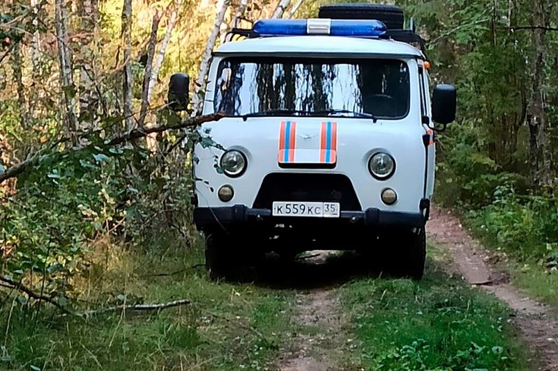    86-летняя Ольга Кондаурова ушла за грибами из деревни Плосково утром 29 августа и пропала. Тревогу забила соседка.