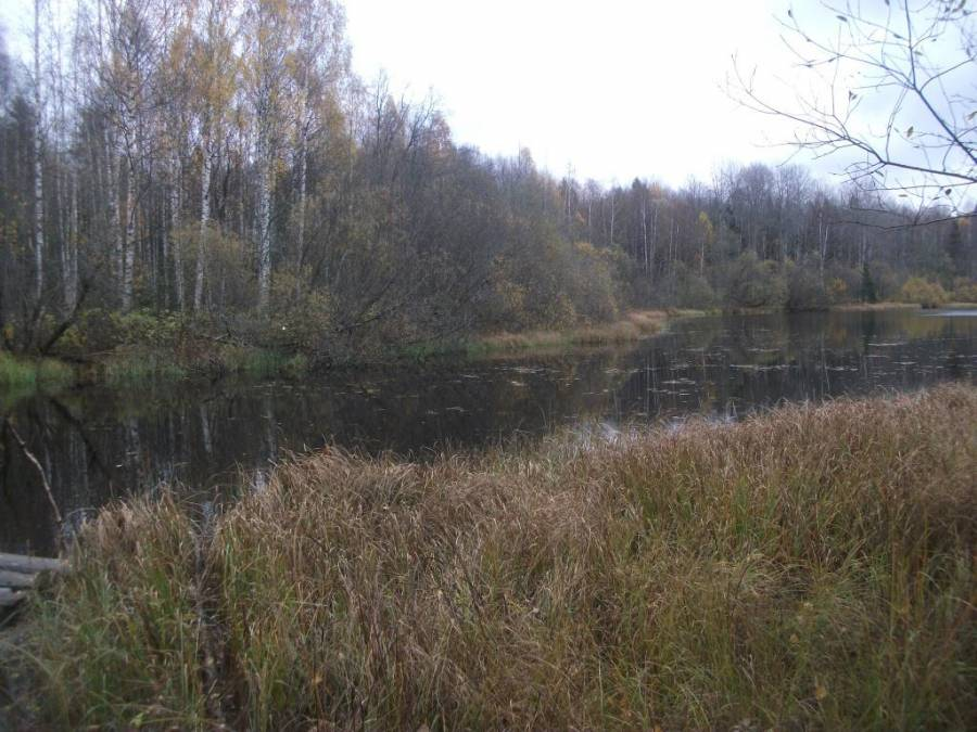 Канал Тихвинской системы сегодня (фото: Wikimedia Commons/NatalyGraf)