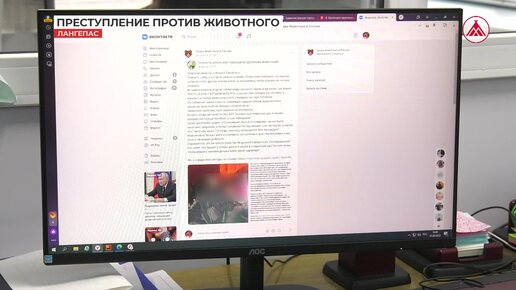 Уголовная ответственность за жестокое обращение с животными