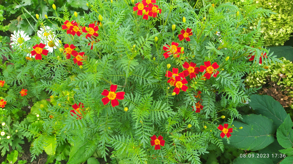 Улочки Твери | Двор где прошло моё детство и юность | двор где я выросла | фотография автора