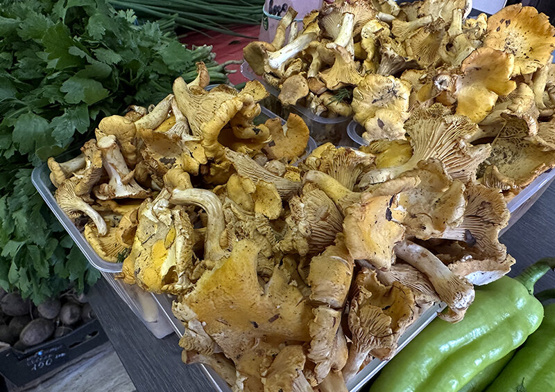    Сушеные грибы: эколог, повар и грибник рассказали о нюансах приготовления