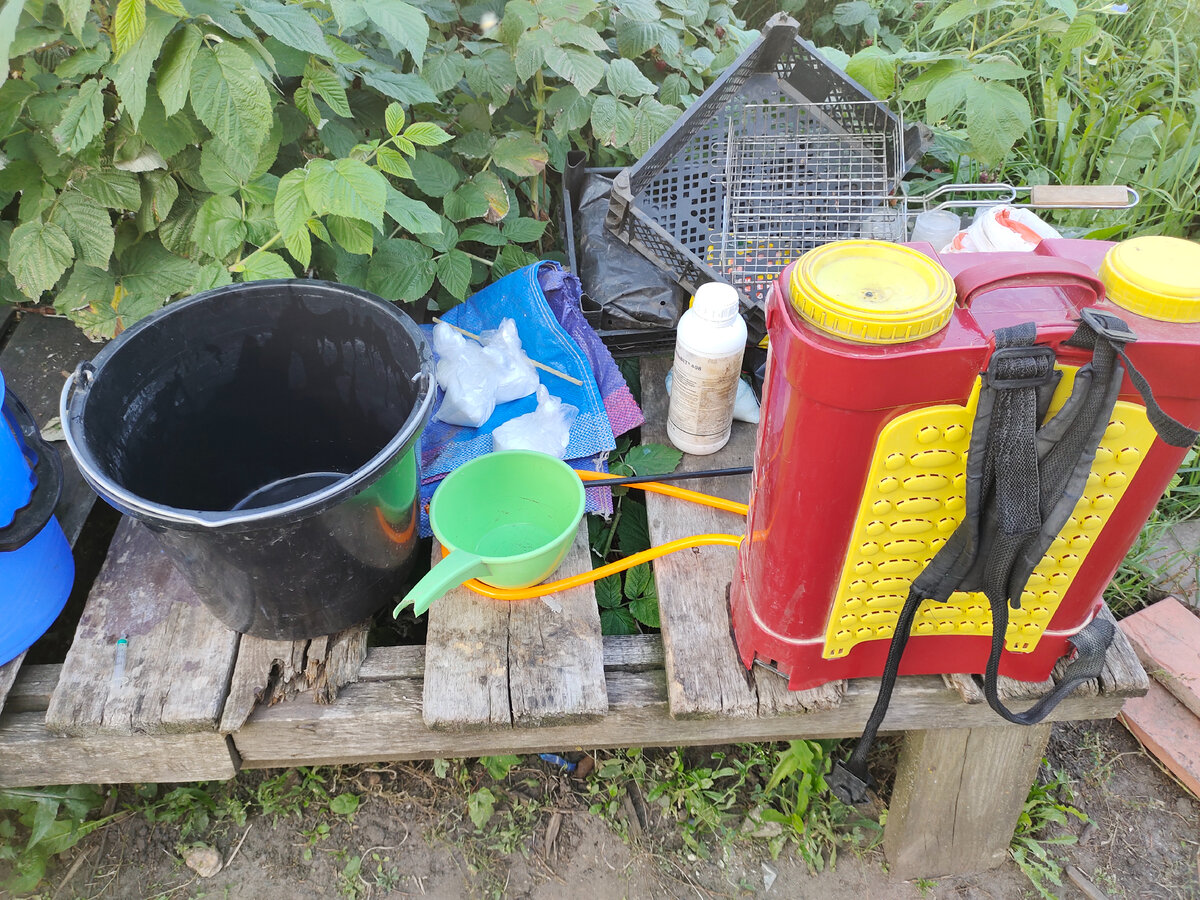 Рабочая обстановка сегодня 