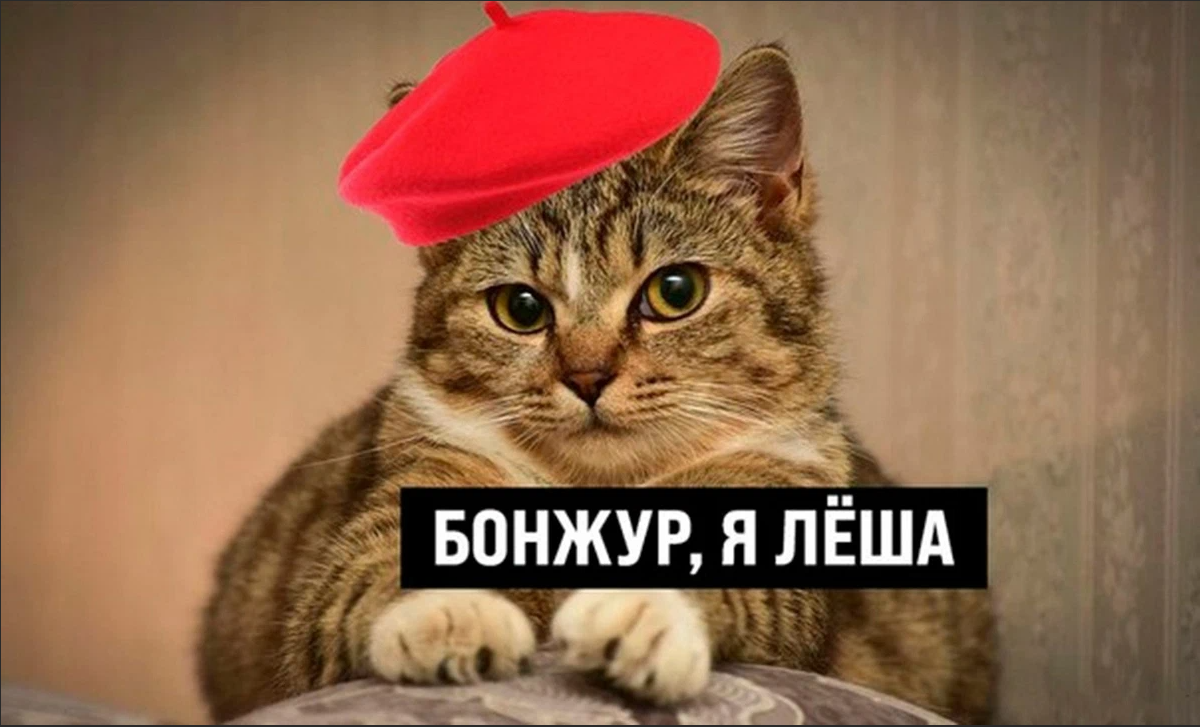 Просторы интернета