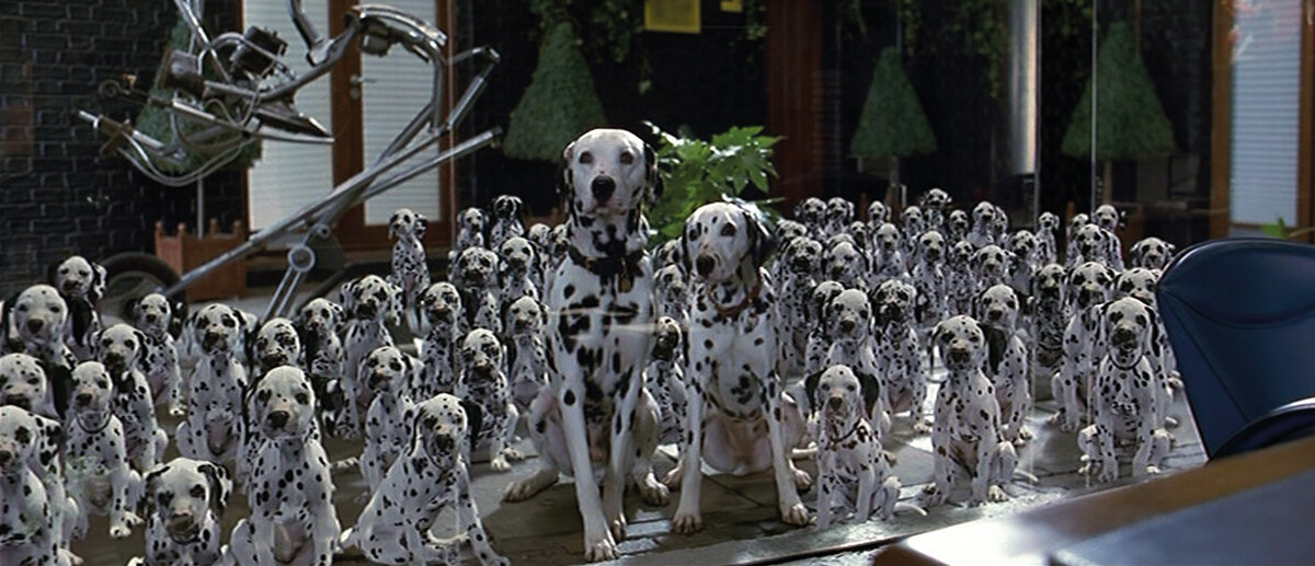 Фото взято из открытого источника