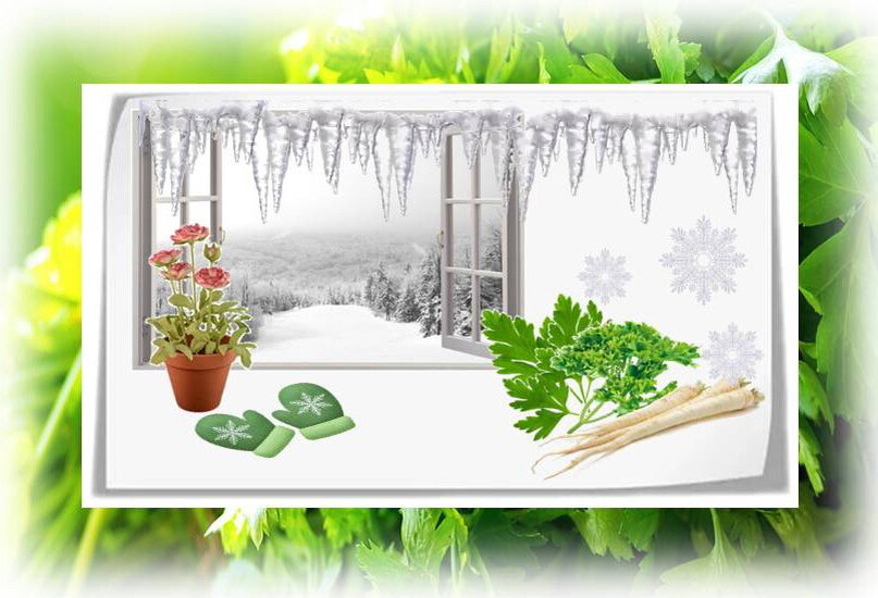 ЛЕпесТОк Домашний огород