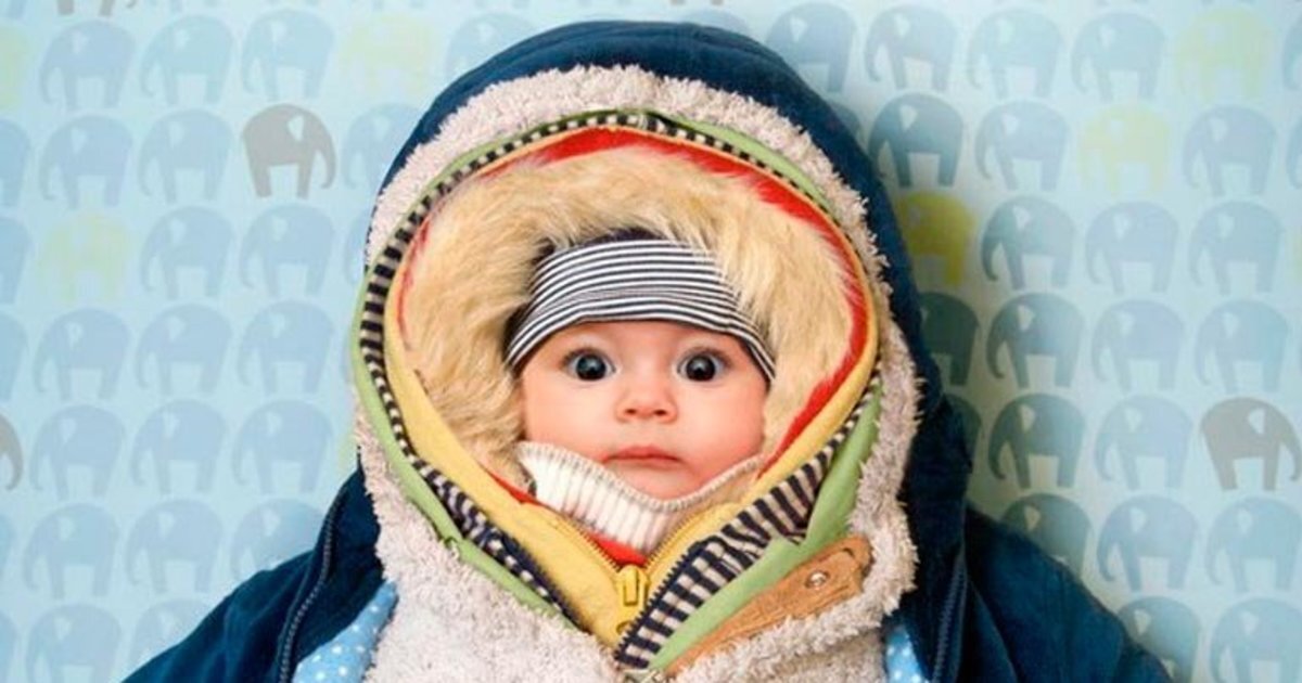 Из открытых источников Яндекса