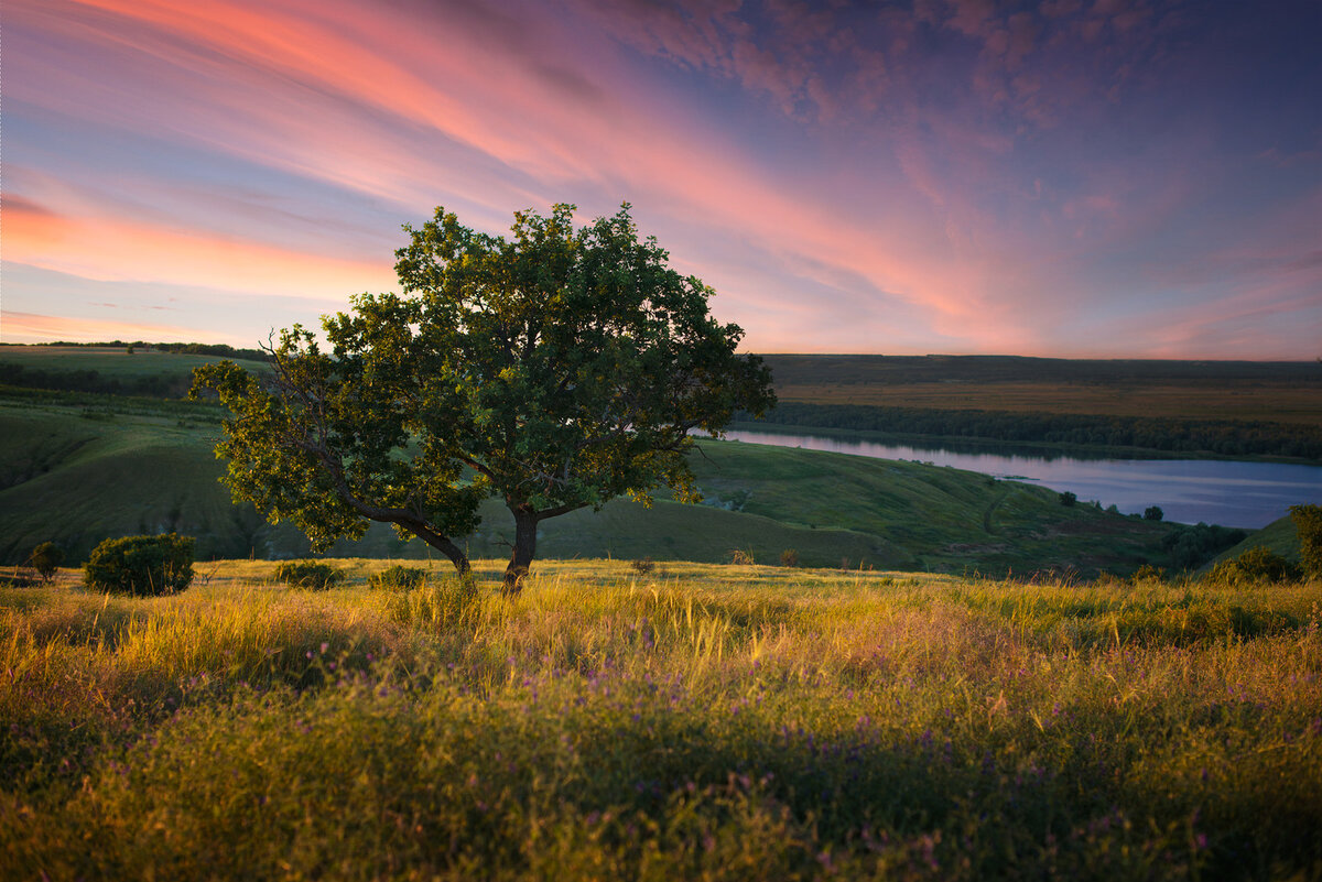 Личное фото  