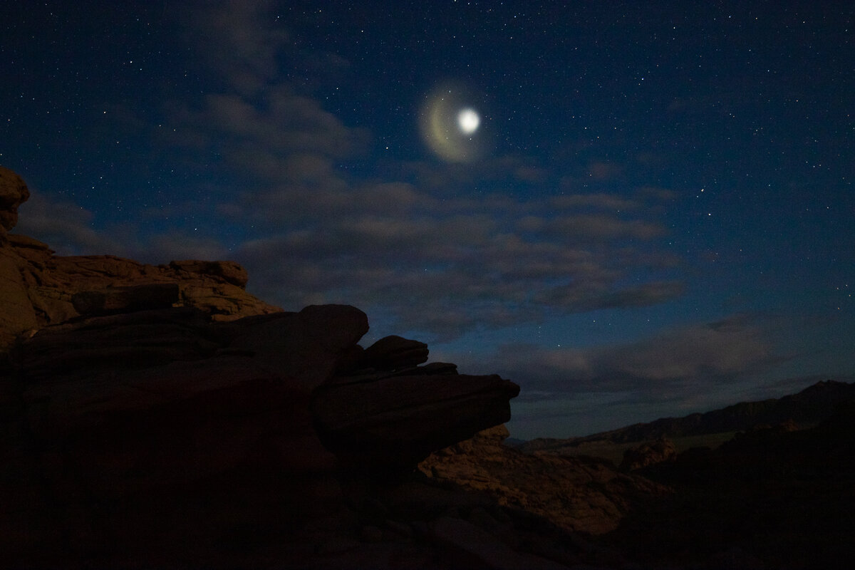 Вот эта штука не на шутку напугала нашу группу