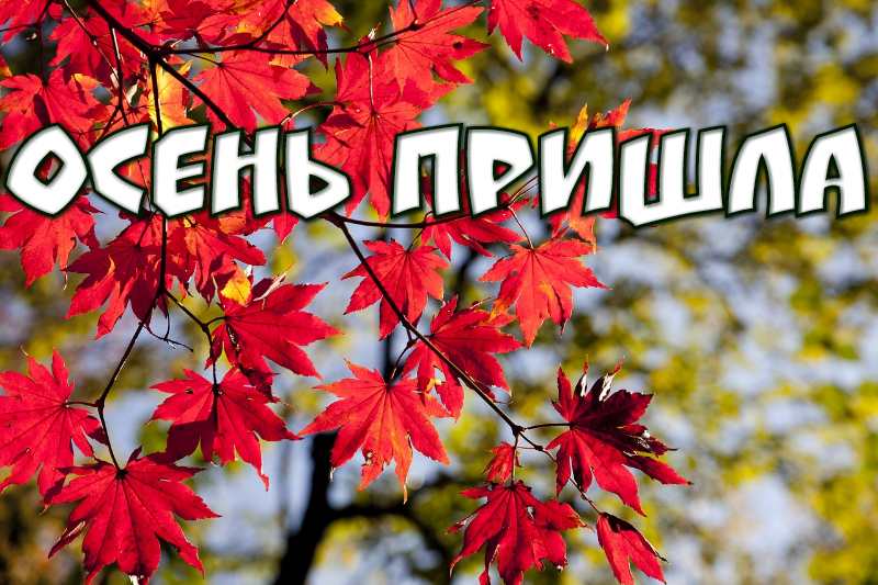 ВОТ И ОСЕНЬ ПРИШЛА. СЧАСТЛИВОЙ И ТЁПЛОЙ ВАМ ОСЕНЬ. МУЗЫКАЛЬНАЯ ВИДЕО ОТКРЫТКА 