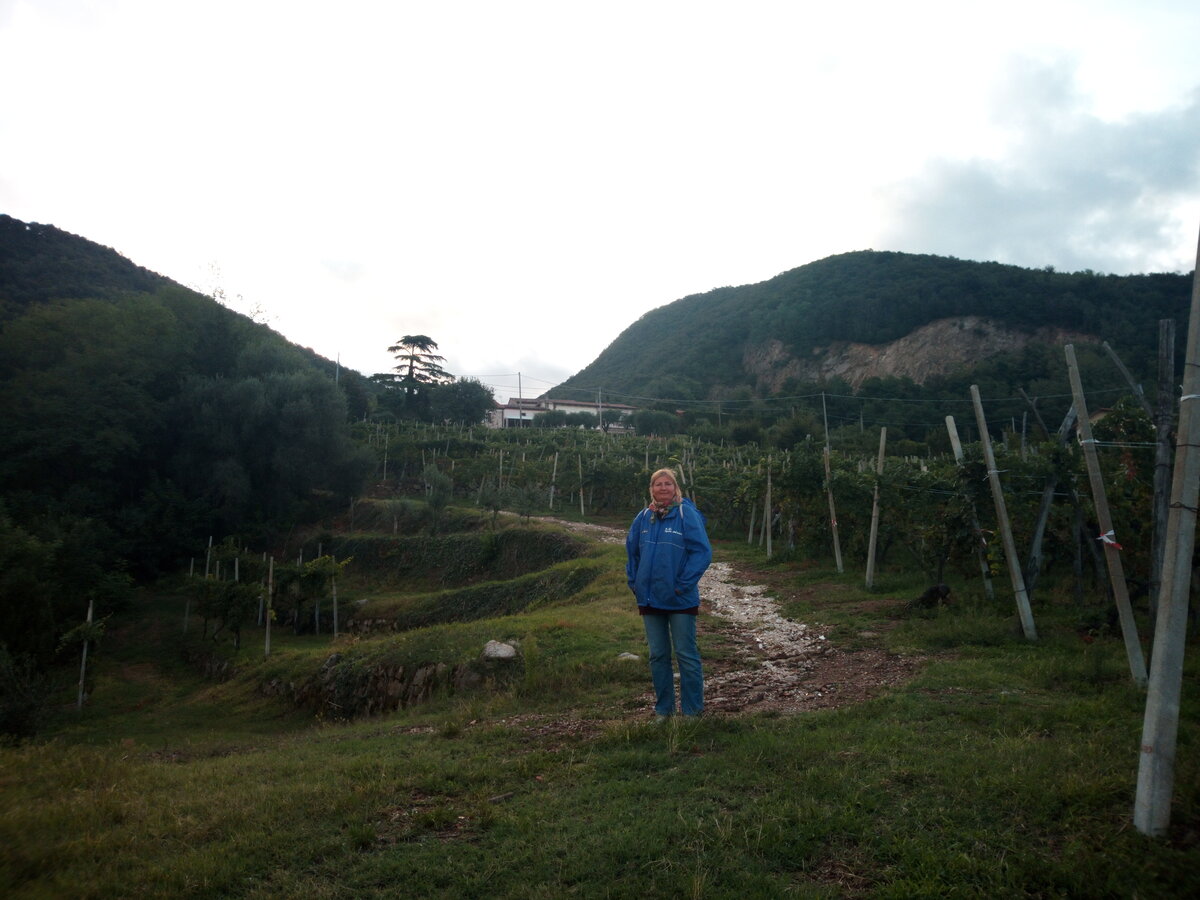 Холмы Эуганей - спящие вулканы 