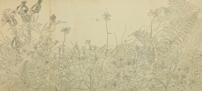 Обложки для травника рисунки