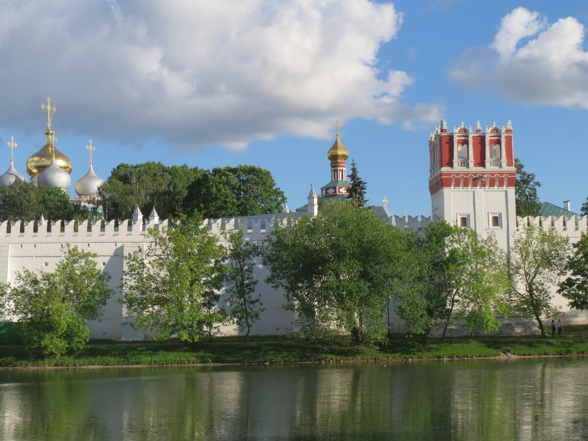 Вид на Новодевичий монастырь от монастырского пруда