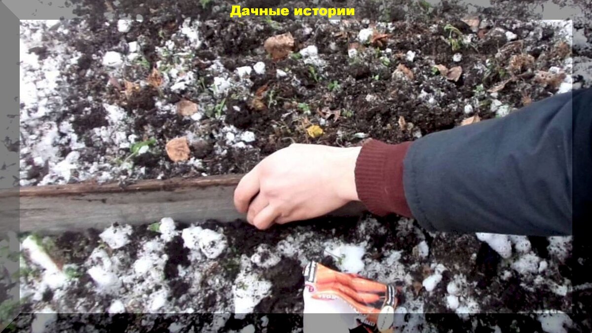 https://vk.com/photo-159774511_457242445
