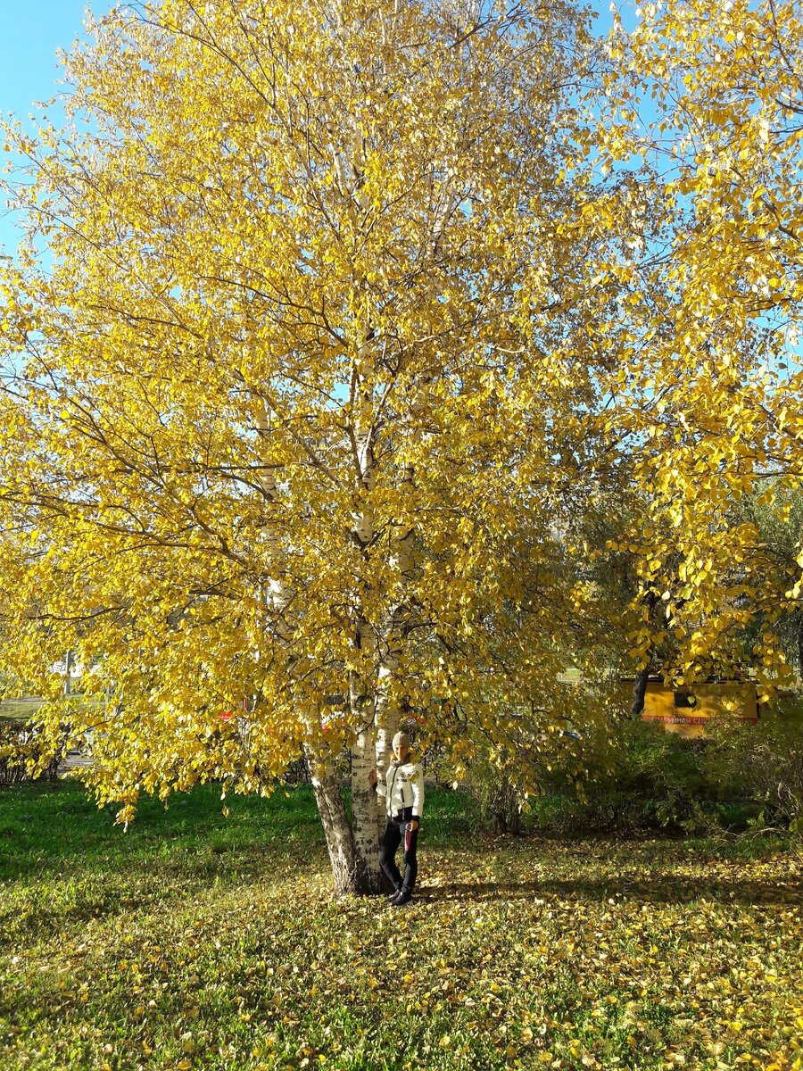 Люблю теплую, солнечную осень.