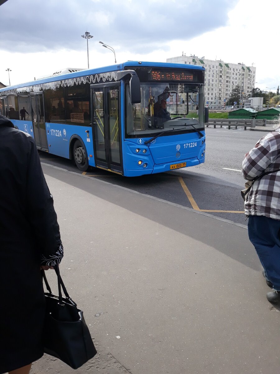 Общественный городской транспорт.