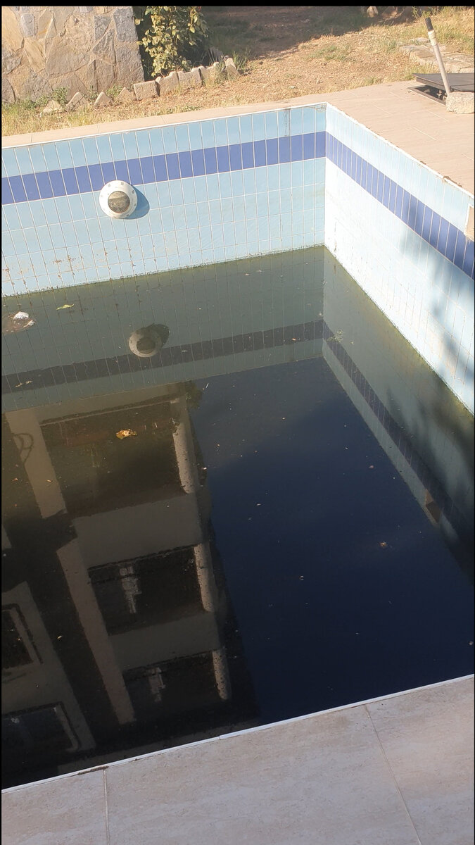 Видео в конце статьи, увидите, что в бассейне кто-то копошился 