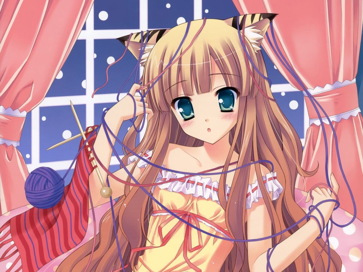 из Яндекс.Картинки