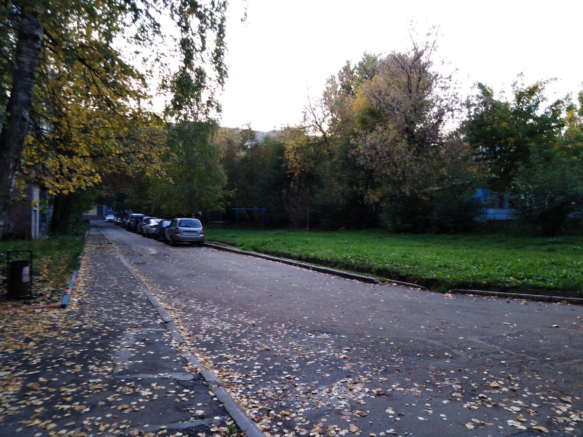 Осень осень, ну давай уж листья сбросим) 