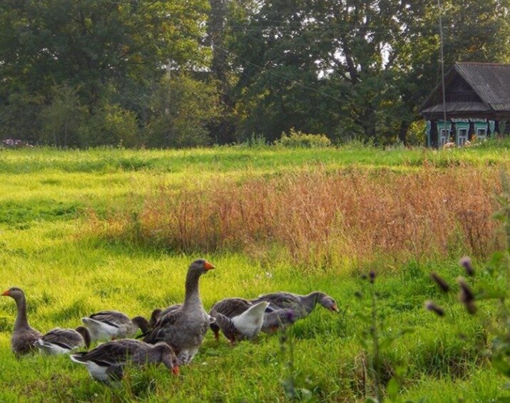 Источник: @cat___unicorn
