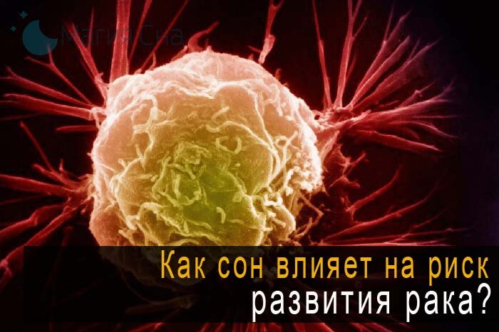 Как сон влияет на риск развития рака?