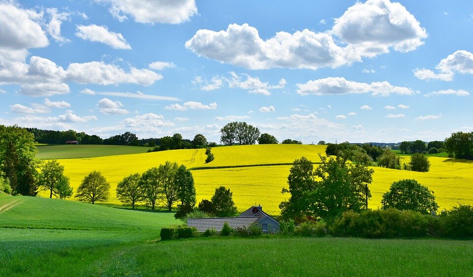 https://pixabay.com/photos/landscape-nature-oilseed-rape-field-3369304/