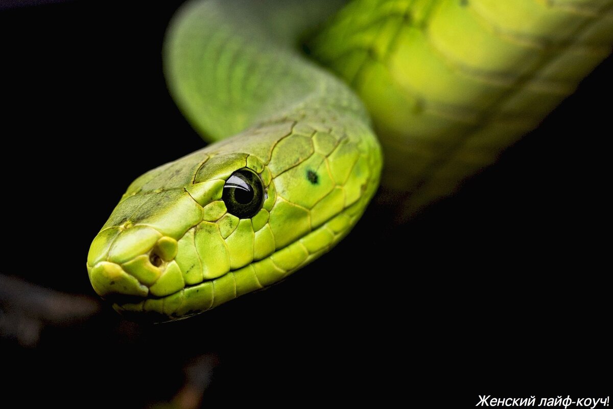 Изображение Michael Kleinsasser с сайта Pixabay