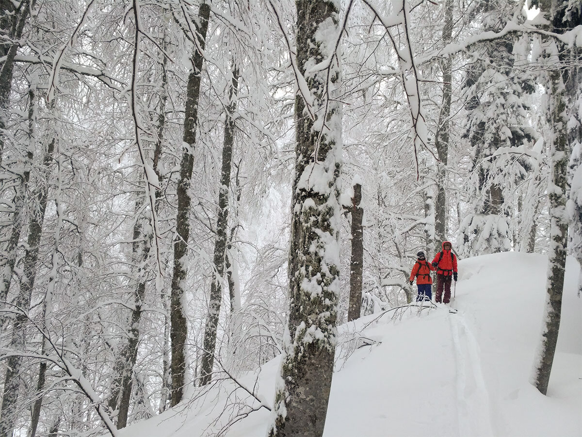 Узкий кулуар