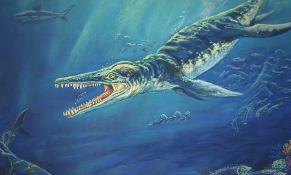 Ихтиозавры вторичноводные. Кронозавр. Морские динозавры Kronosaurus. Ихтиозавр и Плиозавр. Кронозавр Бермуда.
