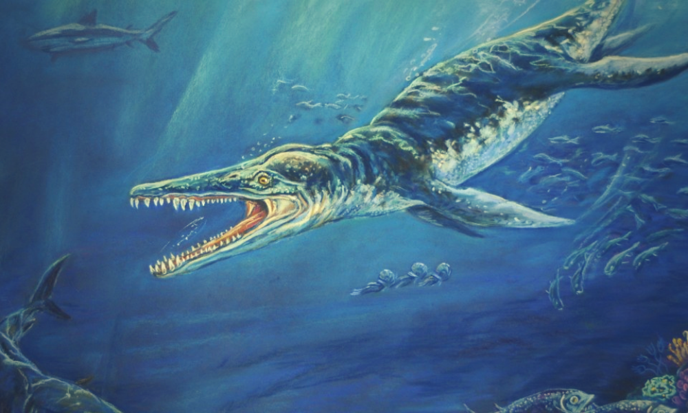 Палеозавр. Кронозавр. Морские динозавры Kronosaurus. Ихтиозавр и Плиозавр. Кронозавр Бермуда.