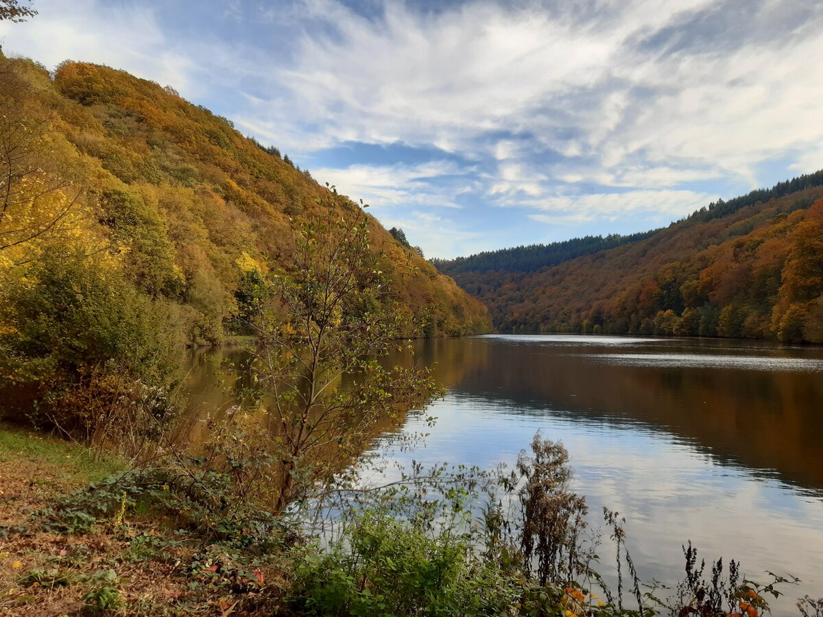 Собственные фотографии, октябрь 2019 года