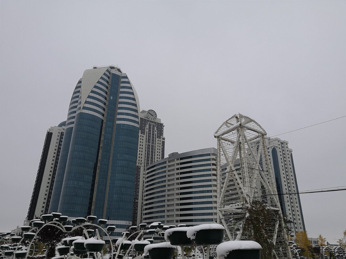 Цветочный парк и Грозный Сити