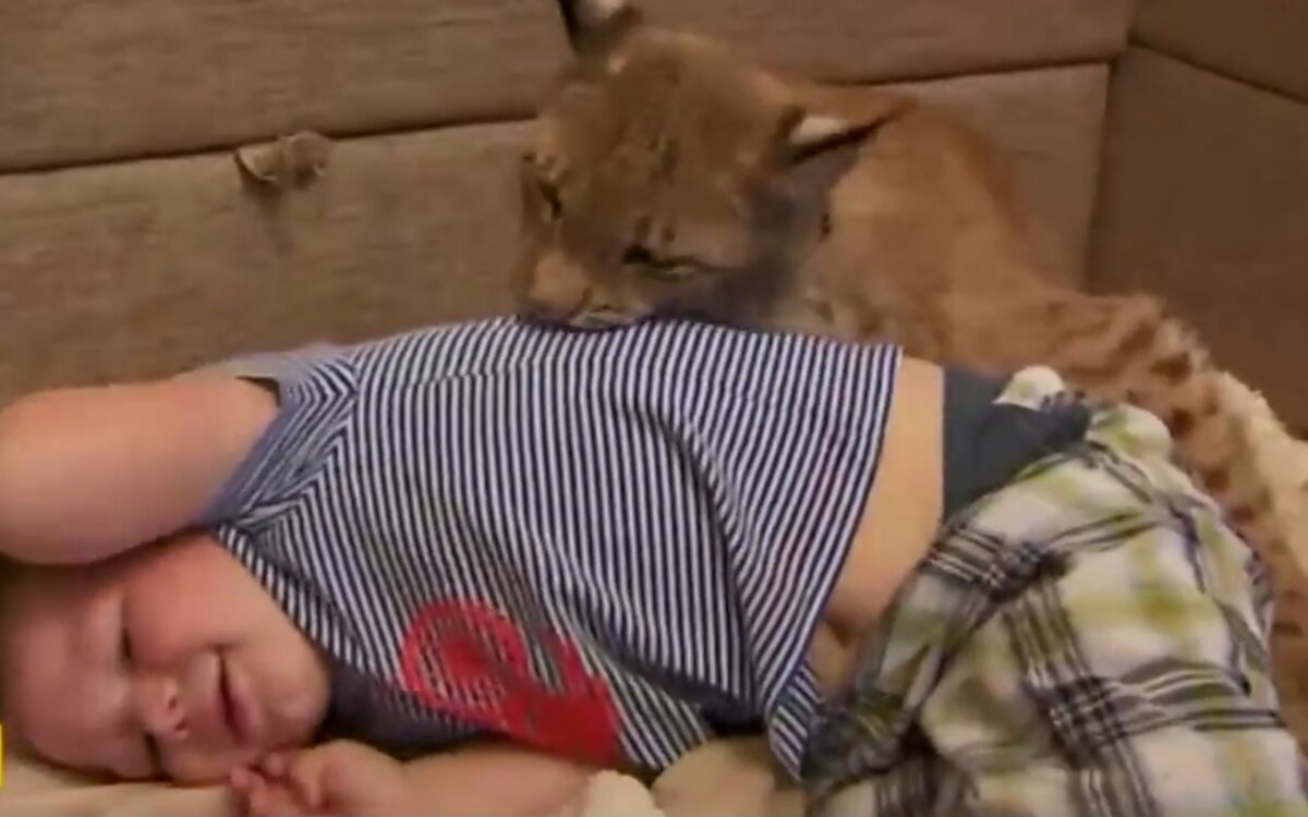 Больше фотографий ниже 