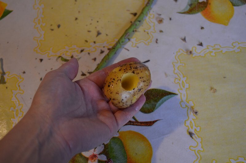 Вот так вот делаю отверстие в клубне картофеля.