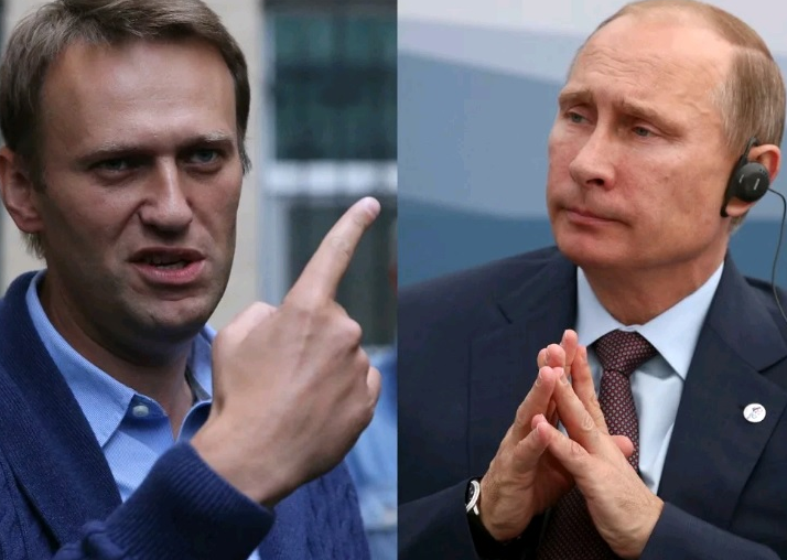 Фото Яндекс картинки 