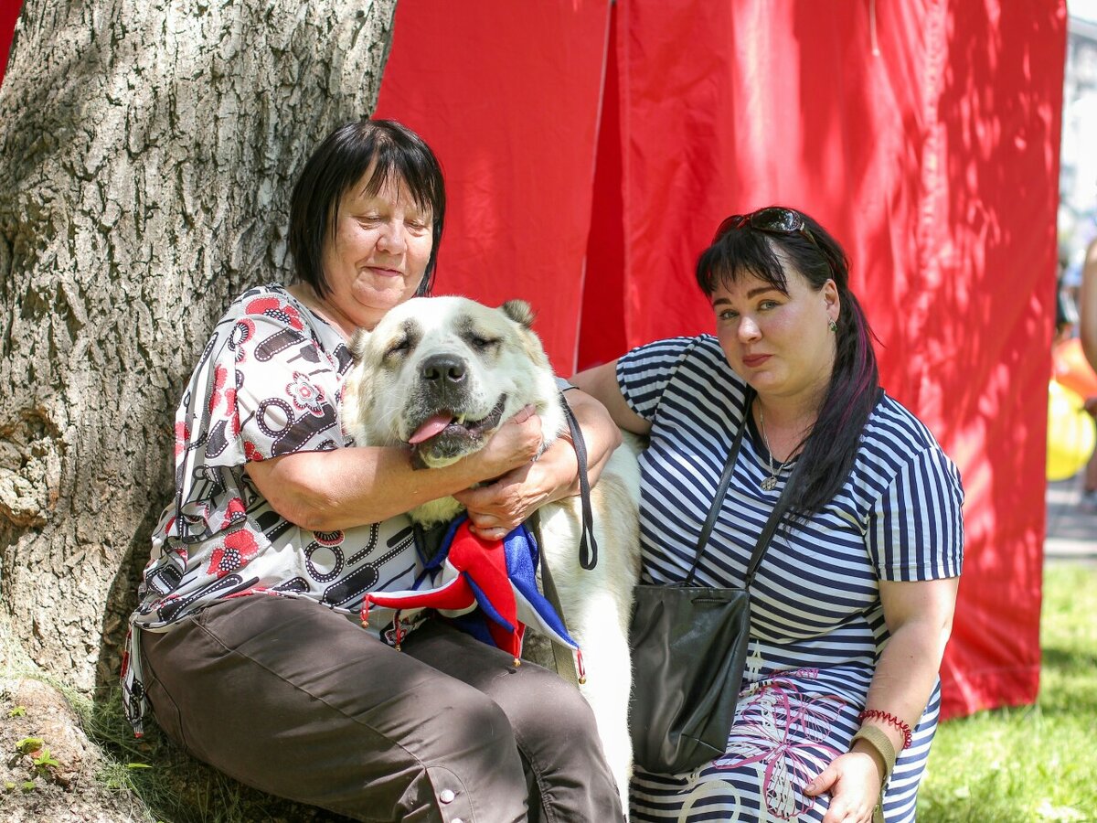 Зурхан, Палкина Т.Б (директор Новосибирского Городского приюта) и Валерия (директор Дома САО)