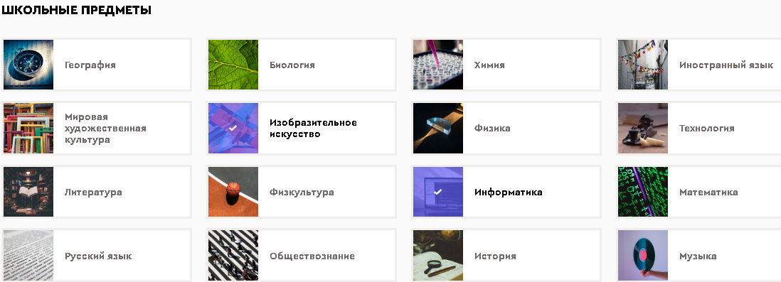 Перечень школьных предметов для выбора по интересам