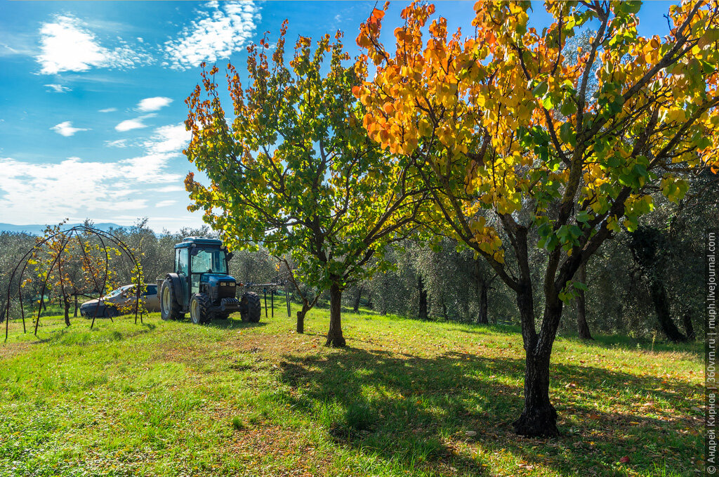 Тосканская осень