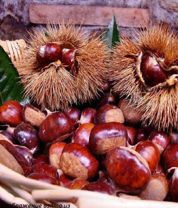 изображение взято из интернета