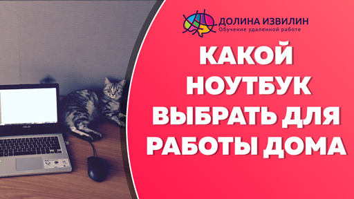 Источник: https://dolinaizvilin.ru/udalennaya-rabota-na-domu/kakoj-noutbuk-vybrat-dlya-raboty-doma