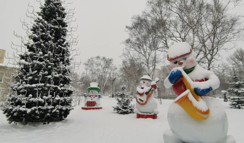 Фото: Екатерина Щеголькова