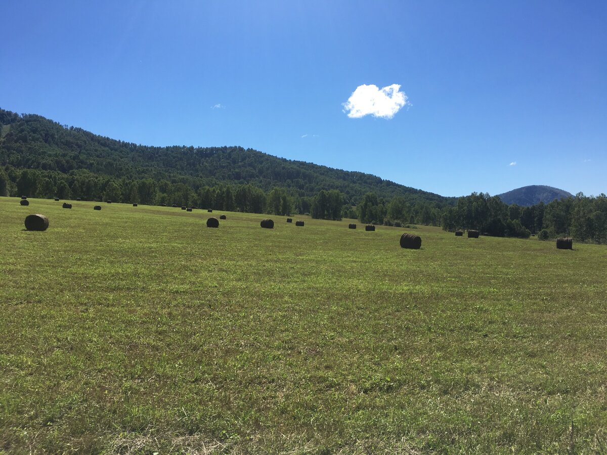  Готовим Сено