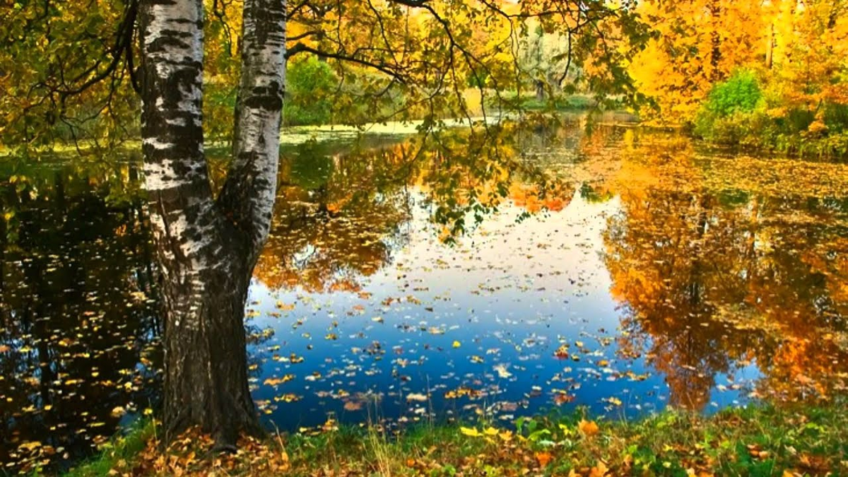 фото из интернета