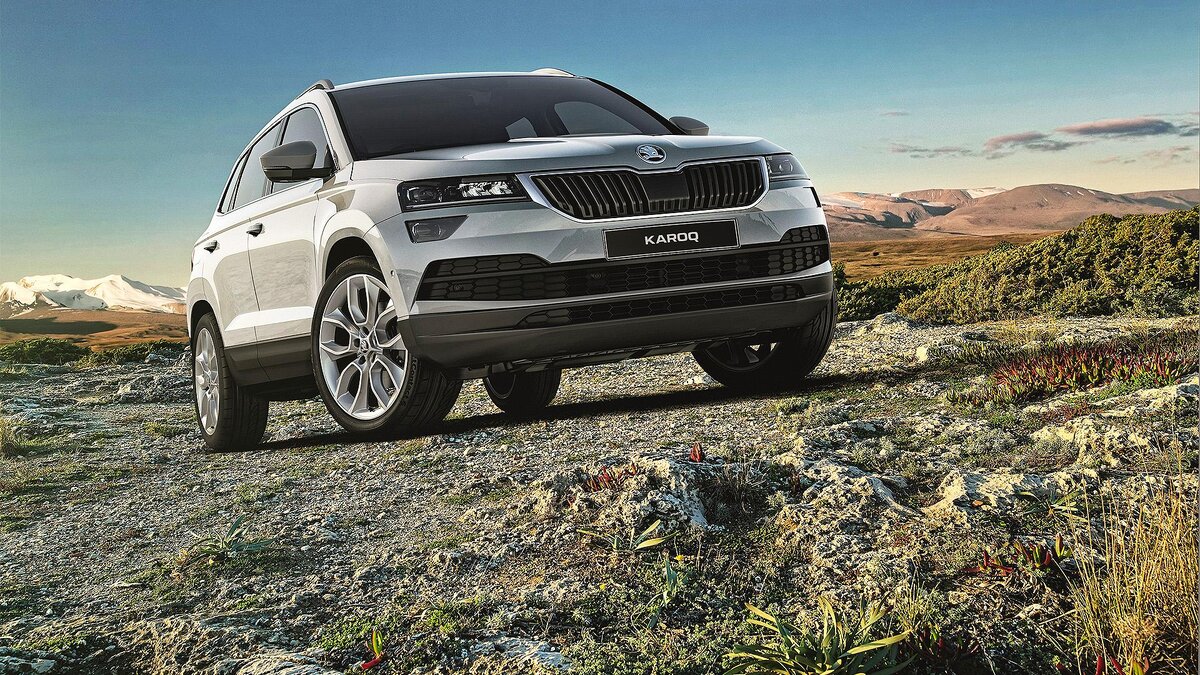 Кроссовер Skoda Karoq. Фото: iz.ru