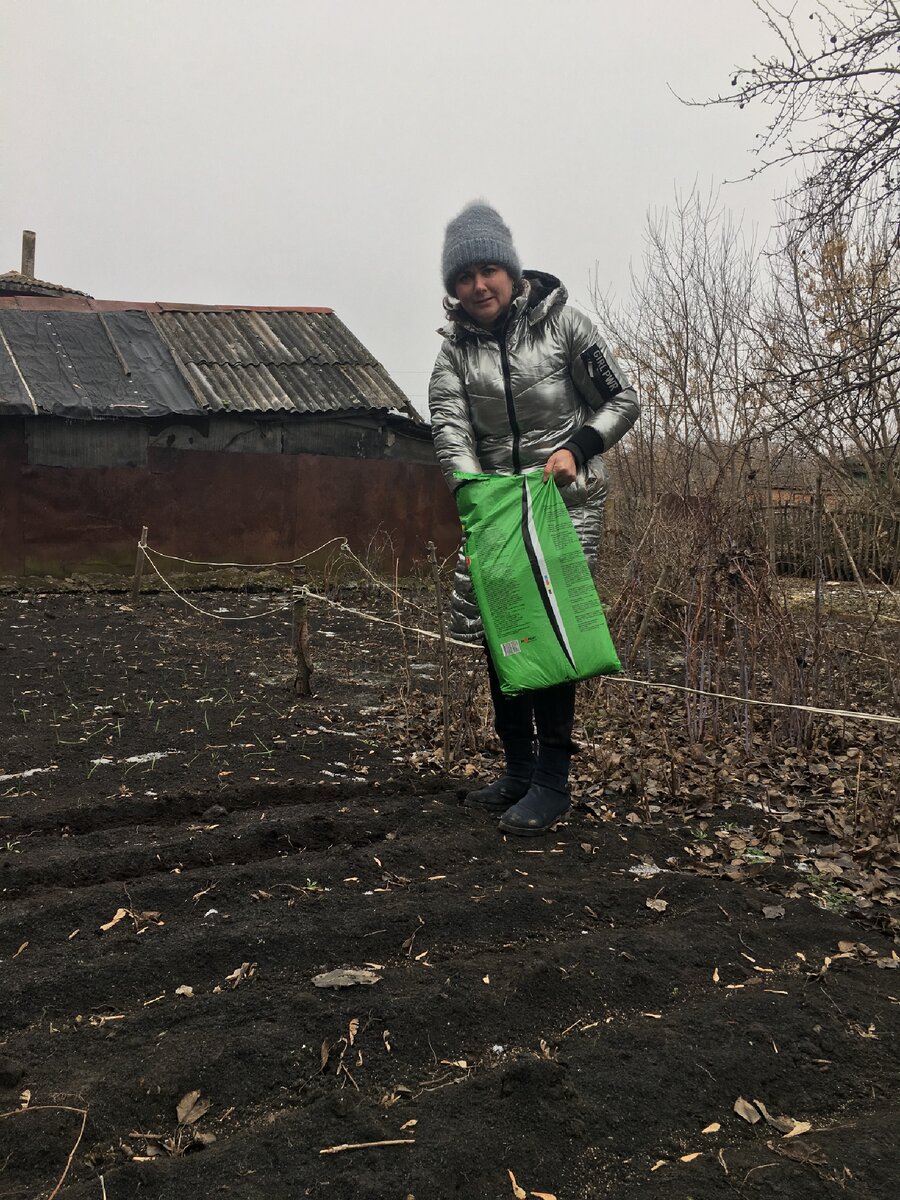 Это  сажаю морковь 22 декабря