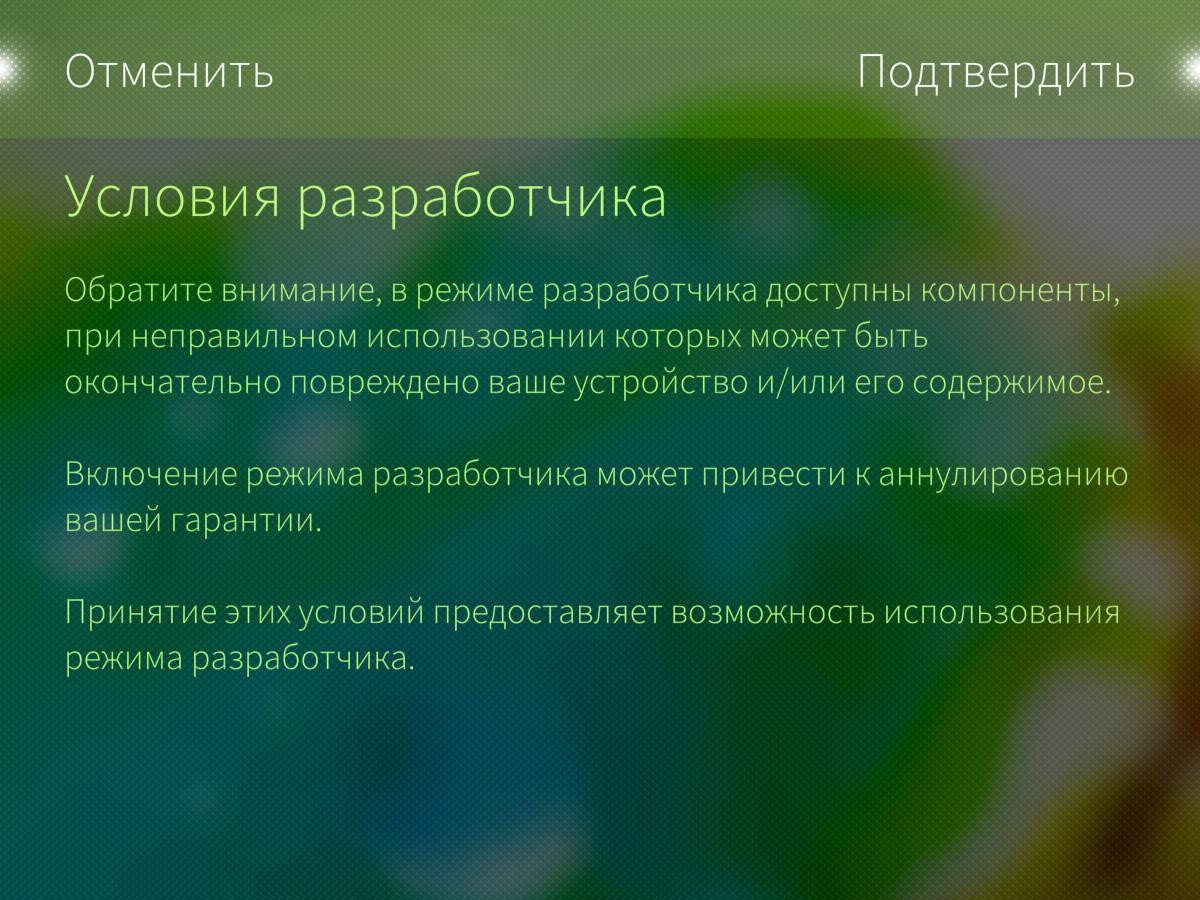 Скриншот 2. Предупреждение при  активации режима разработчика