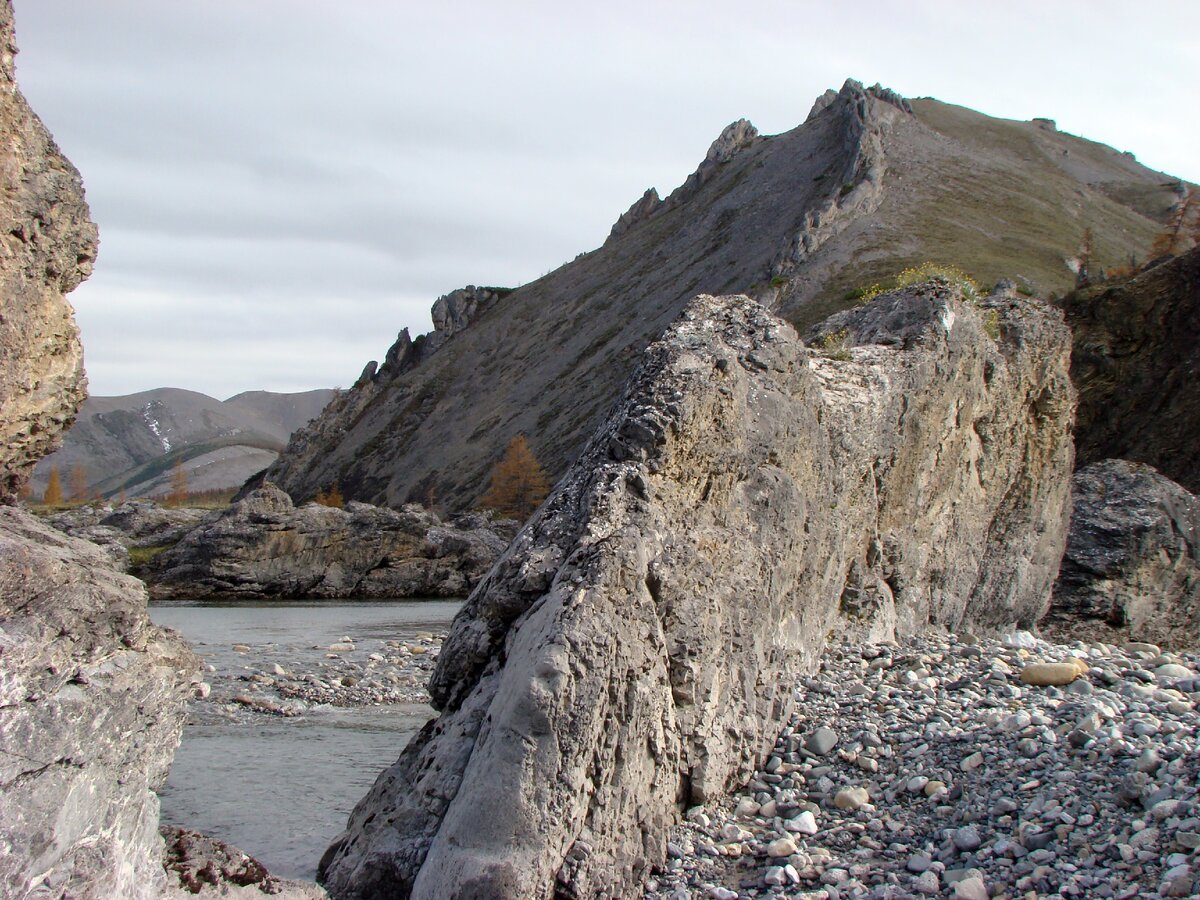 Это р. Сакынджа, недалеко от участка, где мы напрасно искали коренное золото. Рыбку-то мы, конечно, ловили, а вот золото - не нашли.