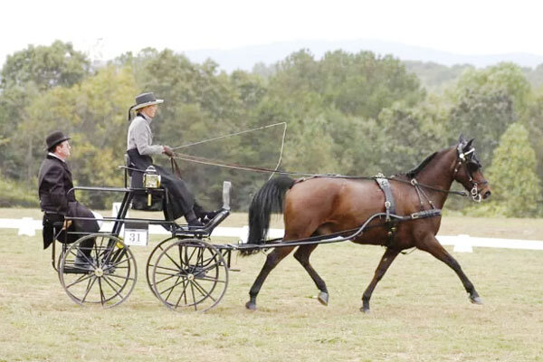 Источник фото сервис Яндекс.Картинки